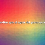 Cómo evitar que el agua del perro se congele