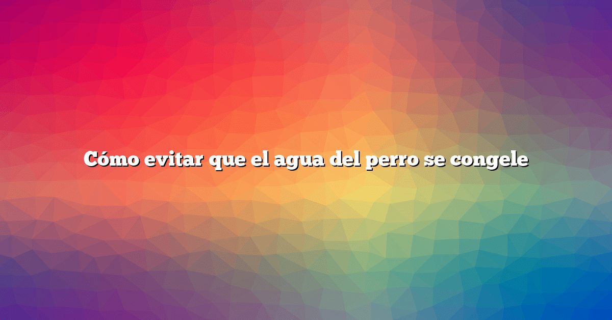 Cómo evitar que el agua del perro se congele
