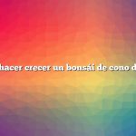 Cómo hacer crecer un bonsái de cono de pino