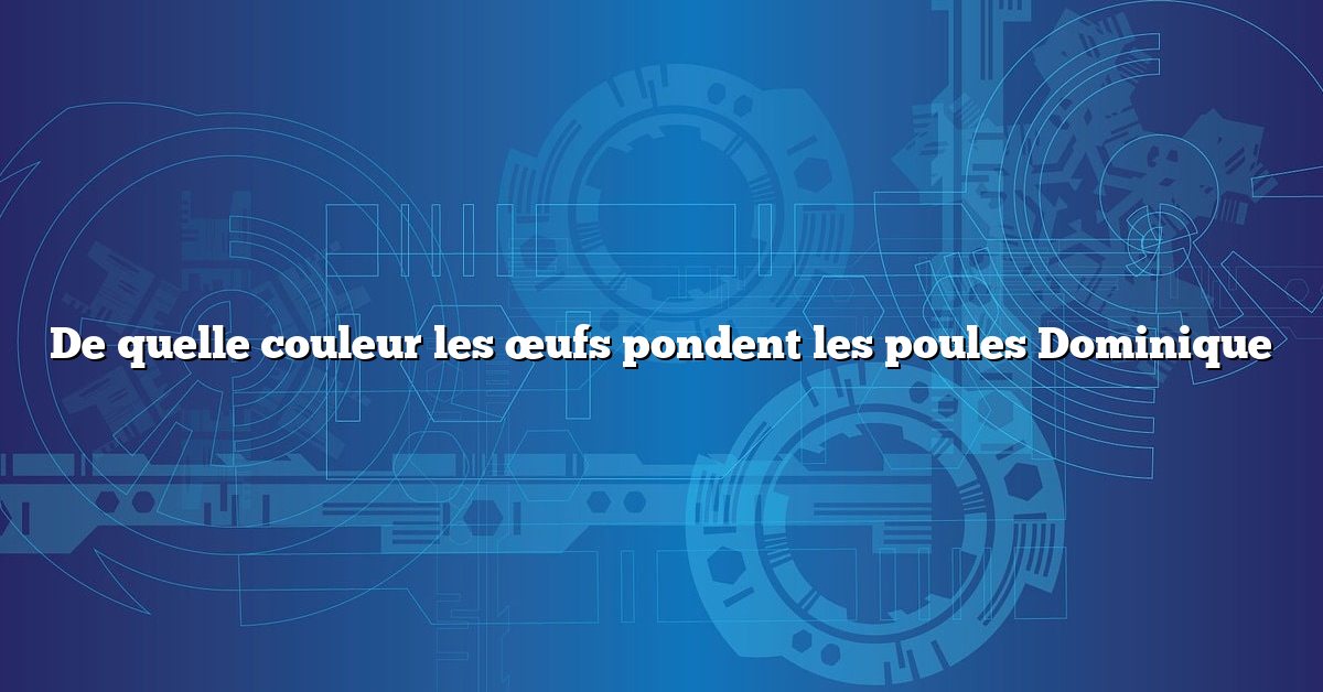 De quelle couleur les œufs pondent les poules Dominique
