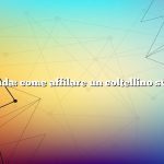 Domanda: come affilare un coltellino svizzero