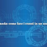 Domanda: come fare i crauti in un secchio