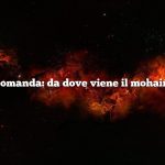 Domanda: da dove viene il mohair?