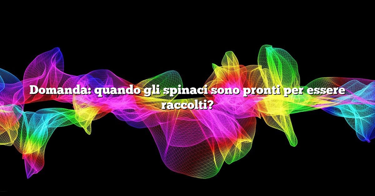 Domanda: quando gli spinaci sono pronti per essere raccolti?