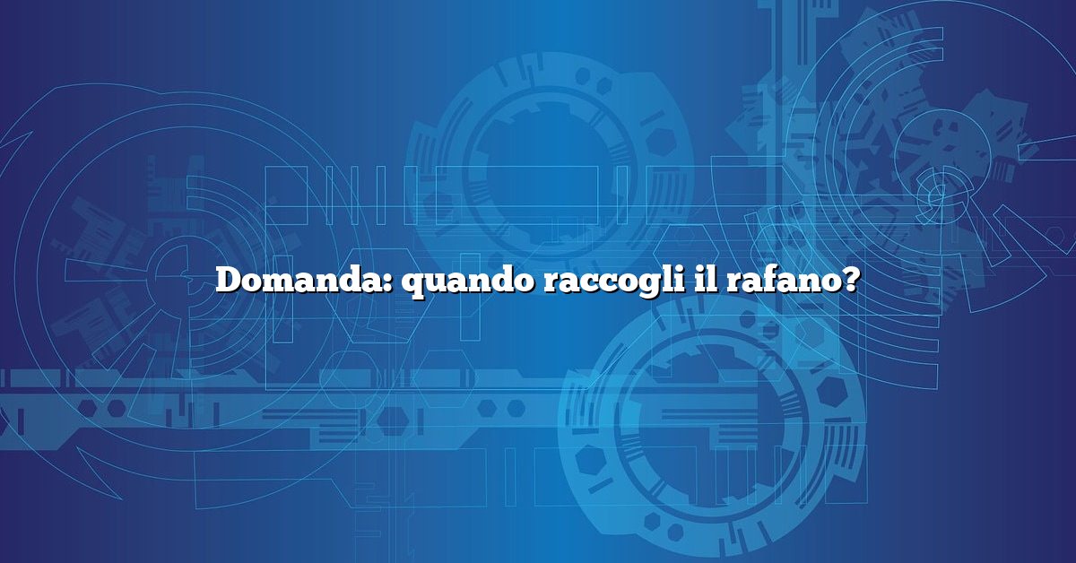 Domanda: quando raccogli il rafano?