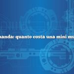 Domanda: quanto costa una mini mucca