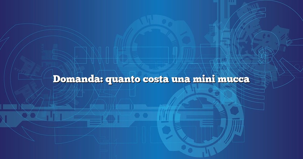 Domanda: quanto costa una mini mucca
