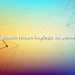 Domanda: quanto tempo impiega un pesco a crescere