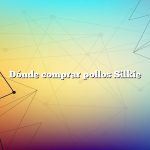 Dónde comprar pollos Silkie