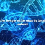 Lo que mata los hongos en las uñas de los pies de forma natural