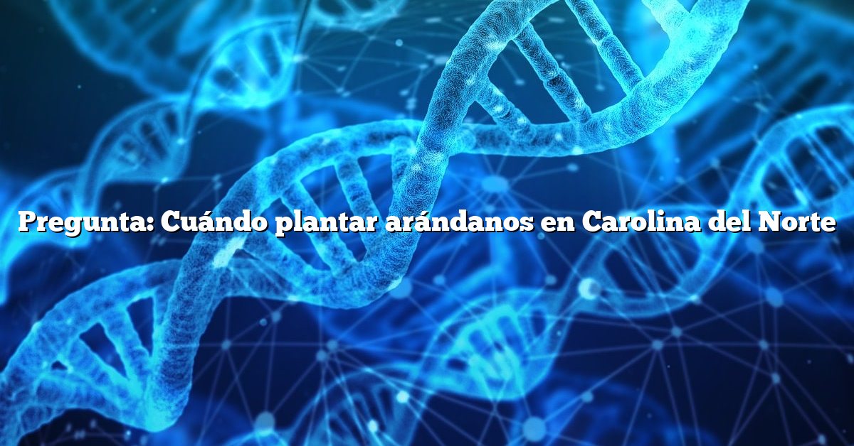 Pregunta: Cuándo plantar arándanos en Carolina del Norte