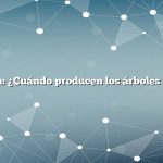 Pregunta: ¿Cuándo producen los árboles de nuez?
