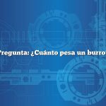 Pregunta: ¿Cuánto pesa un burro?