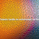 Pregunta: ¿Cuánto tarda en eclosionar un huevo de ave?