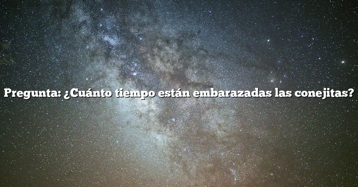 Pregunta: ¿Cuánto tiempo están embarazadas las conejitas?