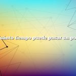 Pregunta: ¿Cuánto tiempo puede pasar un pollo sin agua?