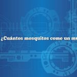 Pregunta: ¿Cuántos mosquitos come un murciélago?