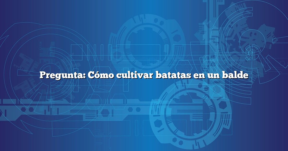 Pregunta: Cómo cultivar batatas en un balde