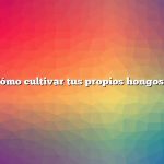 Pregunta: Cómo cultivar tus propios hongos para comer