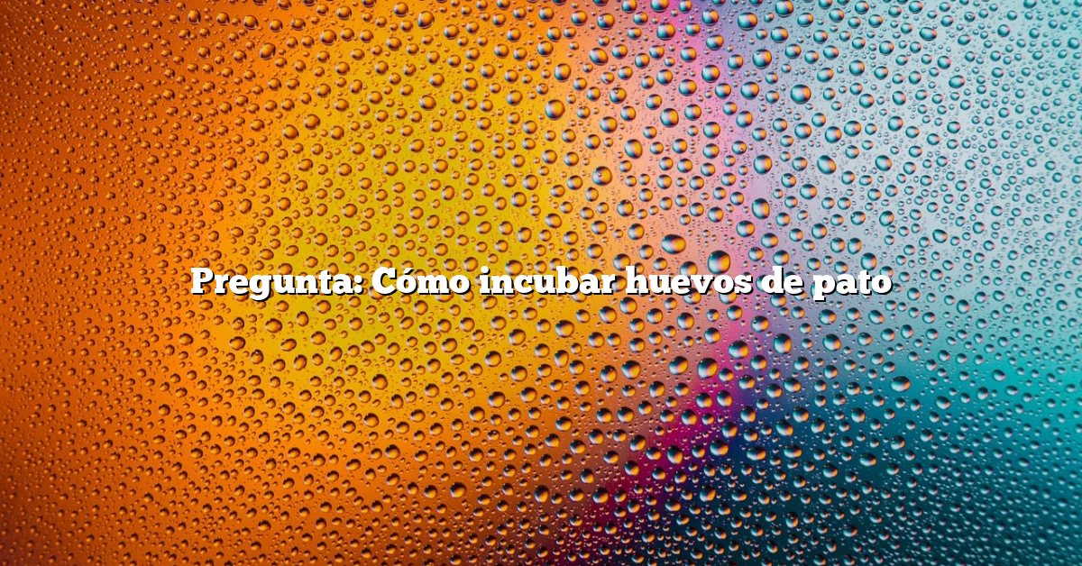 Pregunta: Cómo incubar huevos de pato