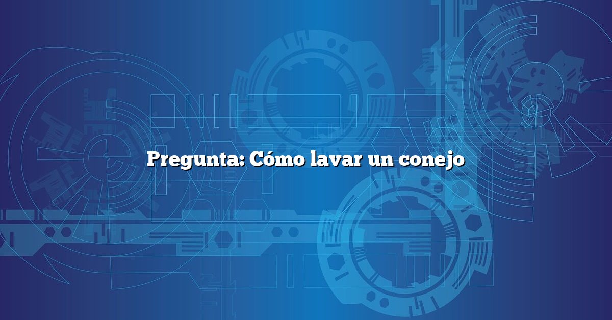 Pregunta: Cómo lavar un conejo