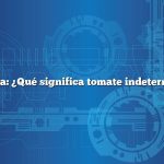 Pregunta: ¿Qué significa tomate indeterminado?