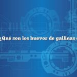 Pregunta: ¿Qué son los huevos de gallinas camperas?