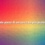 Quale parte di un uovo ha più proteine