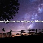 Quand planter des tulipes en Alabama