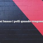 Quanti anni hanno i polli quando vengono macellati