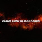 Quanto costa un cane Kangal