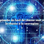 Quel type de plombs de fusil de chasse sont autorisés pour la chasse à la sauvagine