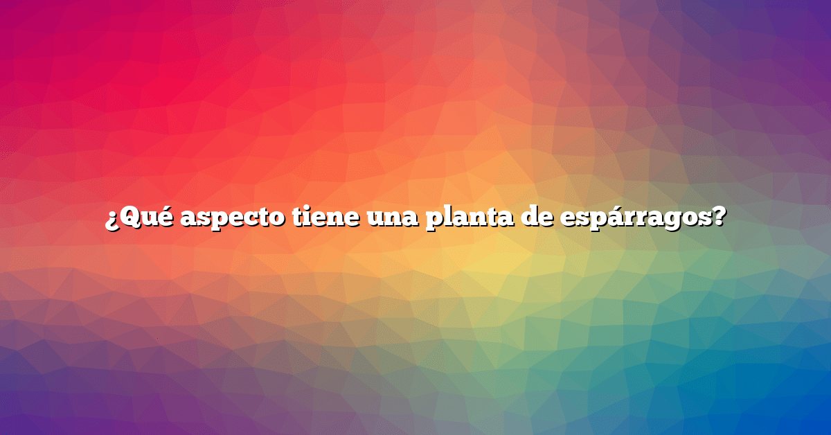 ¿Qué aspecto tiene una planta de espárragos?