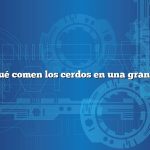 ¿Qué comen los cerdos en una granja?