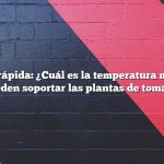Respuesta rápida: ¿Cuál es la temperatura más fría que pueden soportar las plantas de tomate?