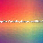 Respuesta rápida: Cuándo plantar semillas de equinácea