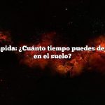 Respuesta rápida: ¿Cuánto tiempo puedes dejar las papas en el suelo?