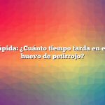 Respuesta rápida: ¿Cuánto tiempo tarda en eclosionar un huevo de petirrojo?