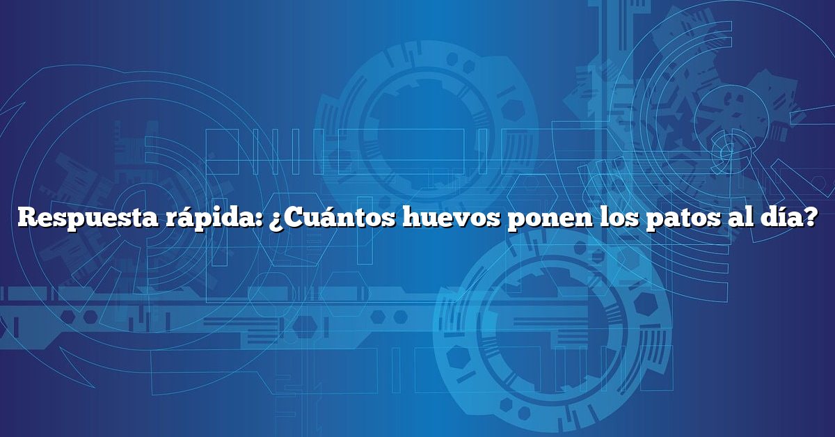 Respuesta rápida: ¿Cuántos huevos ponen los patos al día?
