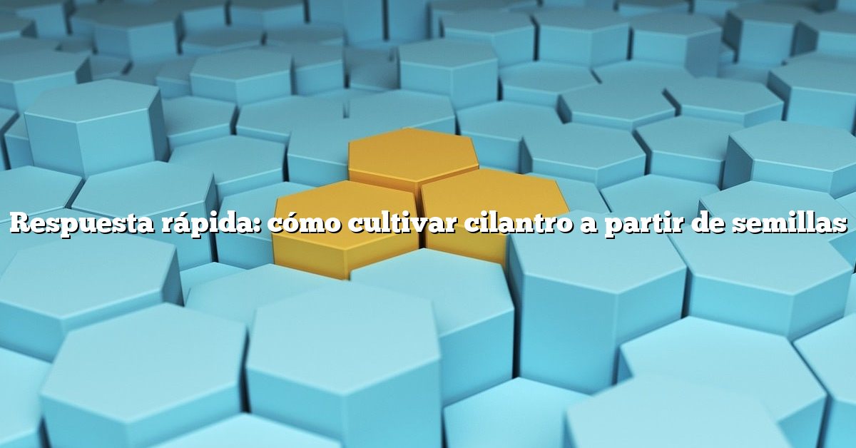 Respuesta rápida: cómo cultivar cilantro a partir de semillas