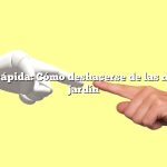 Respuesta rápida: Cómo deshacerse de las niguas en su jardín