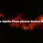 Respuesta rápida: Cómo plantar huesos de durazno