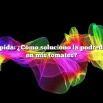 Respuesta rápida: ¿Cómo soluciono la podredumbre apical en mis tomates?