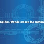Respuesta rápida: ¿Dónde crecen las castañas de agua?