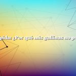 Respuesta rápida: ¿Por qué mis gallinas no ponen huevos?