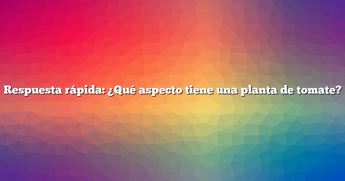 Respuesta rápida: ¿Qué aspecto tiene una planta de tomate?