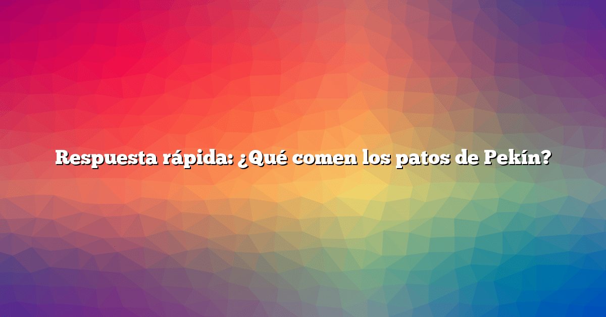 Respuesta rápida: ¿Qué comen los patos de Pekín?