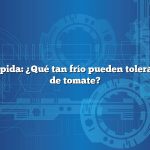 Respuesta rápida: ¿Qué tan frío pueden tolerar las plantas de tomate?