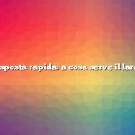 Risposta rapida: a cosa serve il lardo