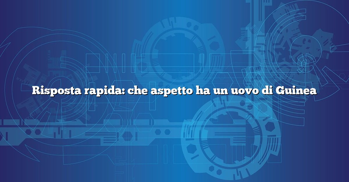 Risposta rapida: che aspetto ha un uovo di Guinea